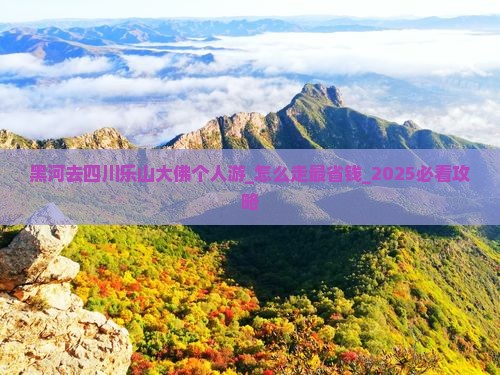 黑河去四川乐山大佛个人游