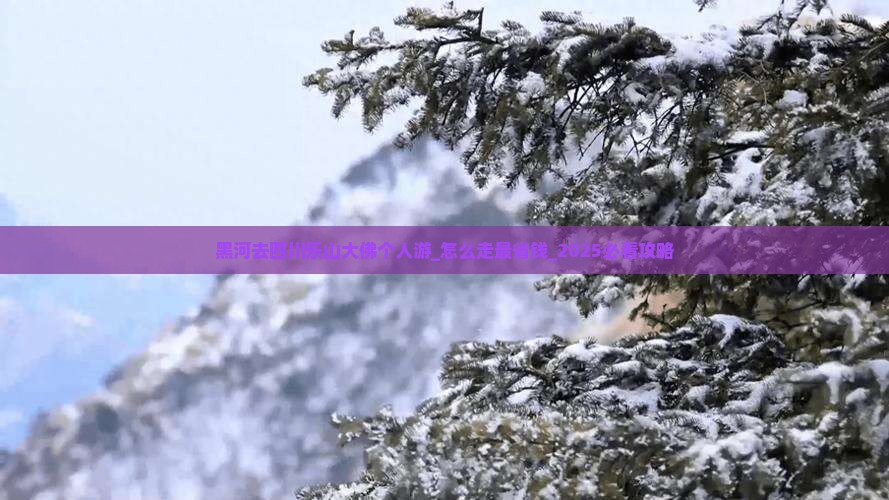 黑河去四川乐山大佛个人游