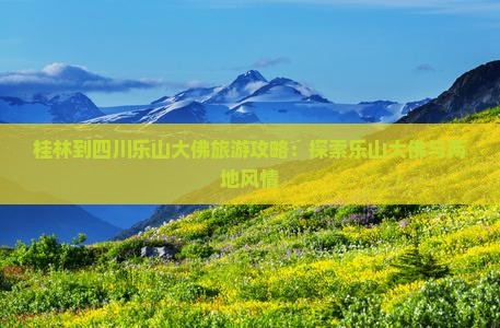 桂林到四川乐山大佛景点