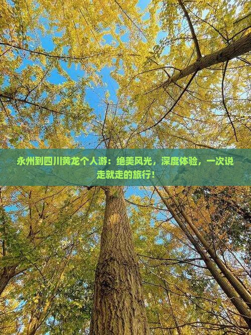 永州到四川黄龙个人游