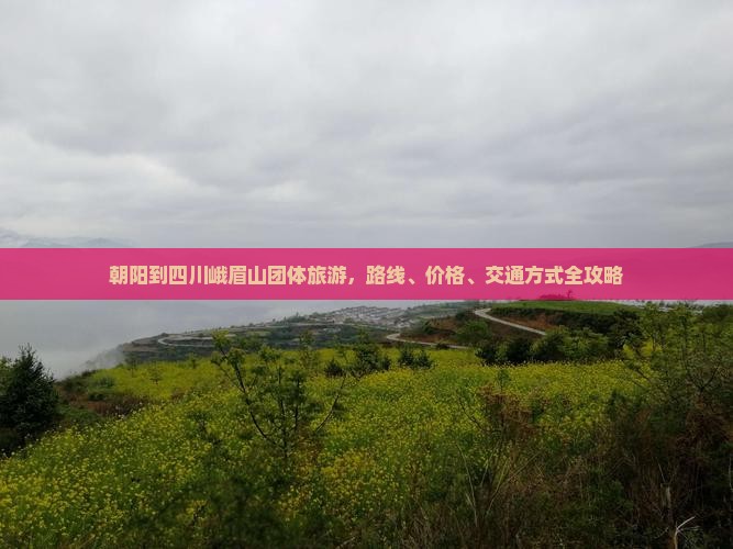 朝阳到四川峨眉山团体旅游