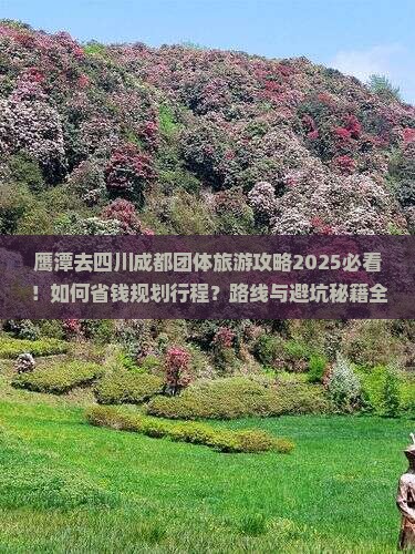 鹰潭去四川成都团体旅游