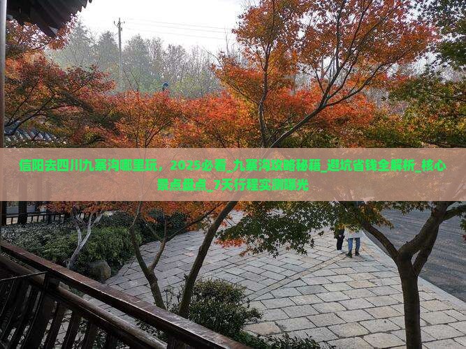 信阳去四川九寨沟哪里玩