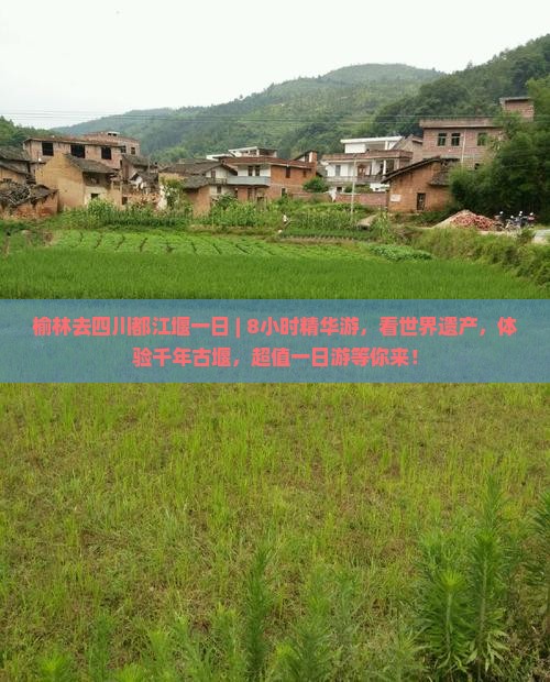 榆林去四川都江堰一日