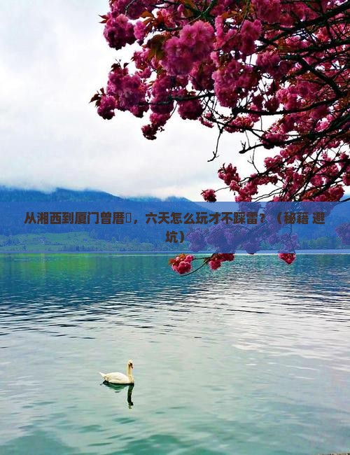 湘西到厦门曾厝埯六日游