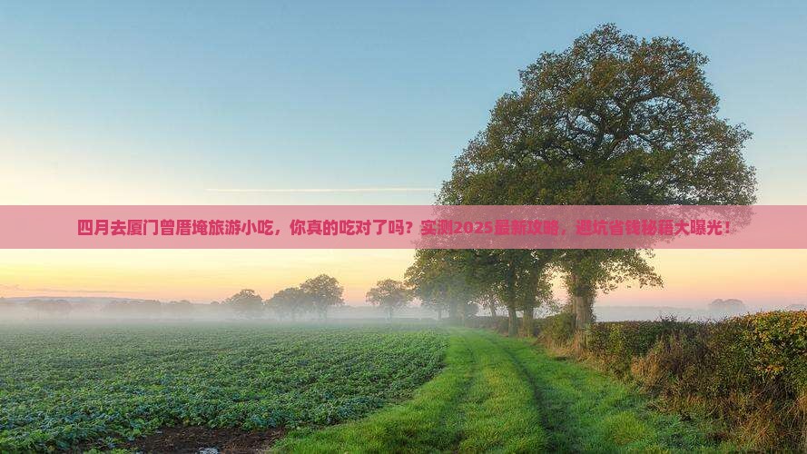 四月去厦门曾厝埯旅游小吃