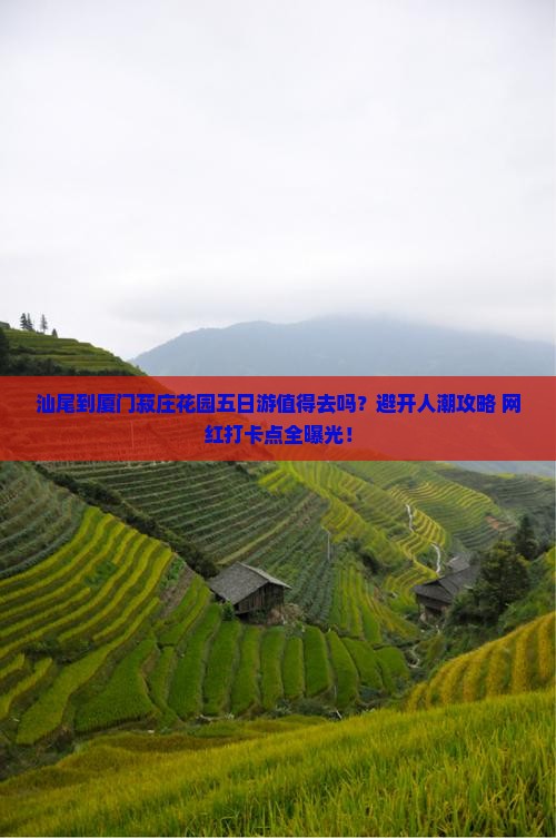 汕尾到厦门菽庄花园五日游
