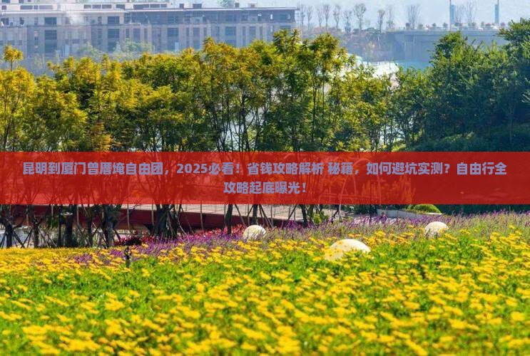 昆明到厦门曾厝埯自由团
