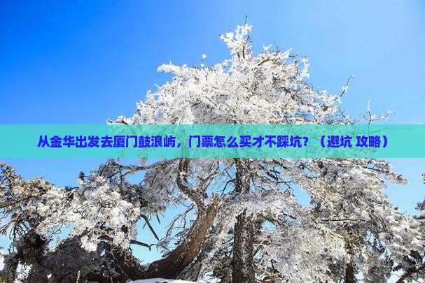 金华去厦门鼓浪屿门票