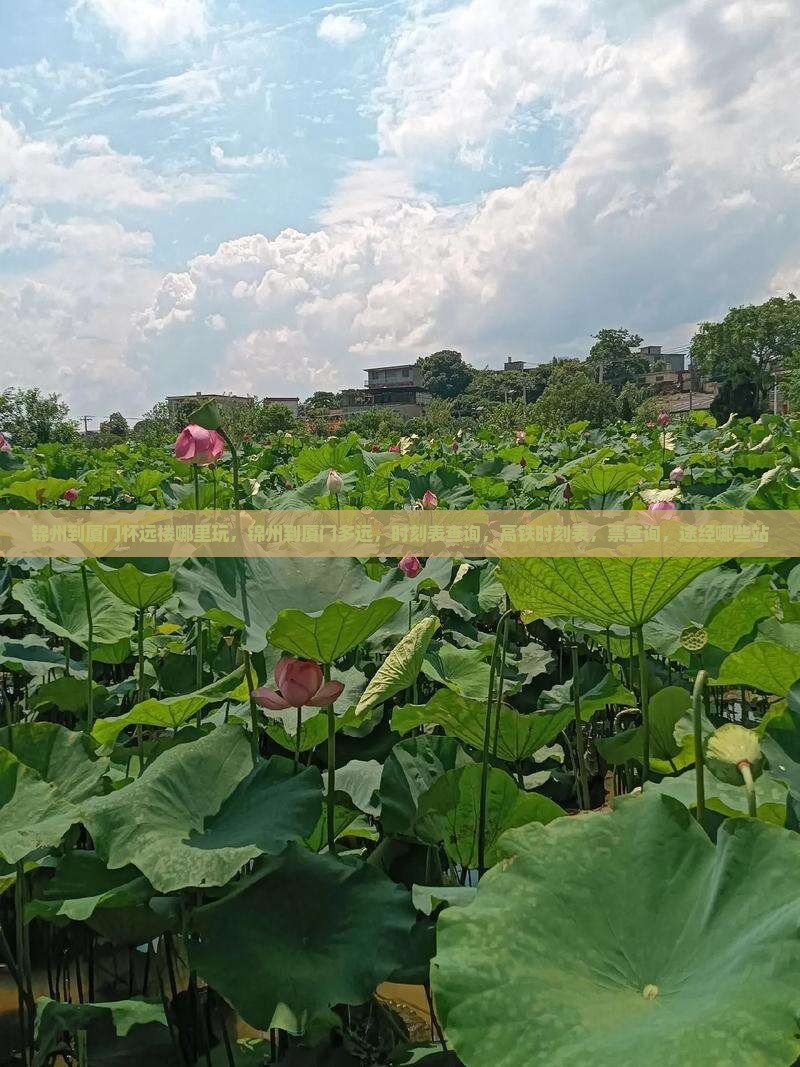 锦州到厦门怀远楼哪里玩