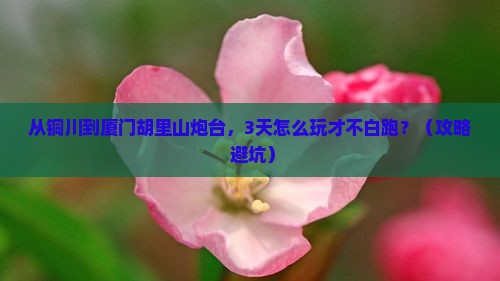 铜川去厦门胡里山炮台必去地