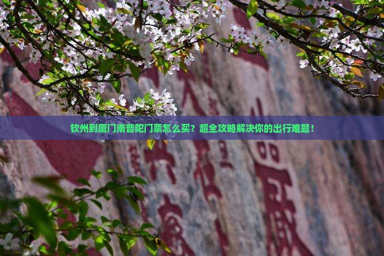 钦州到厦门南普陀门票