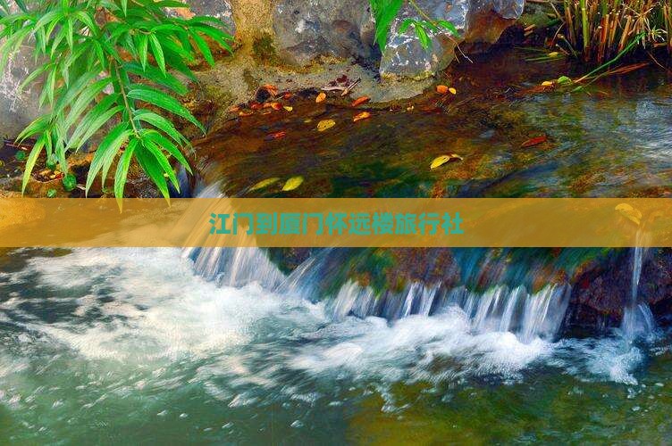 江门到厦门怀远楼旅行社