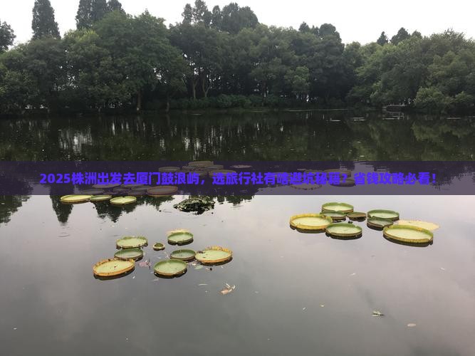 株洲到厦门鼓浪屿旅行社