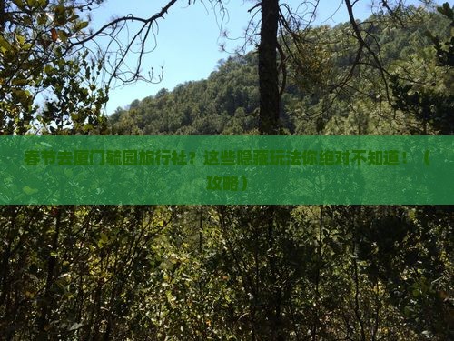 春节到厦门毓园旅行社