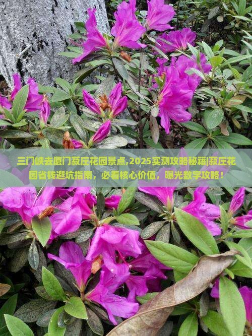 三门峡去厦门菽庄花园景点