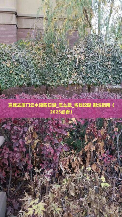 宣城去厦门云水谣四日游