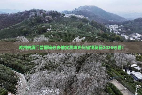漳州去厦门曾厝埯必去地