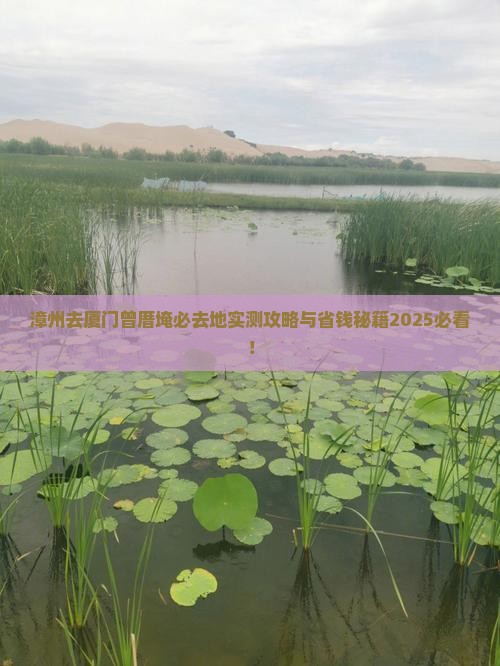 漳州去厦门曾厝埯必去地