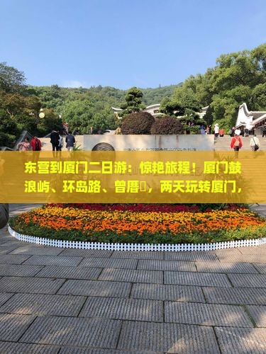 东营到厦门二日游