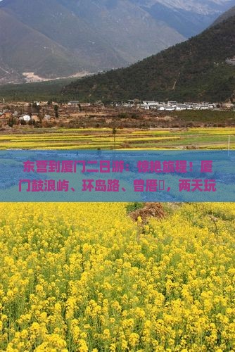 东营到厦门二日游