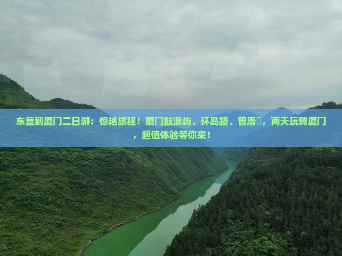 东营到厦门二日游