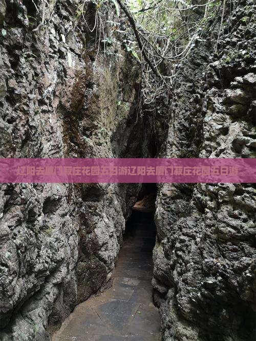 辽阳去厦门菽庄花园五日游