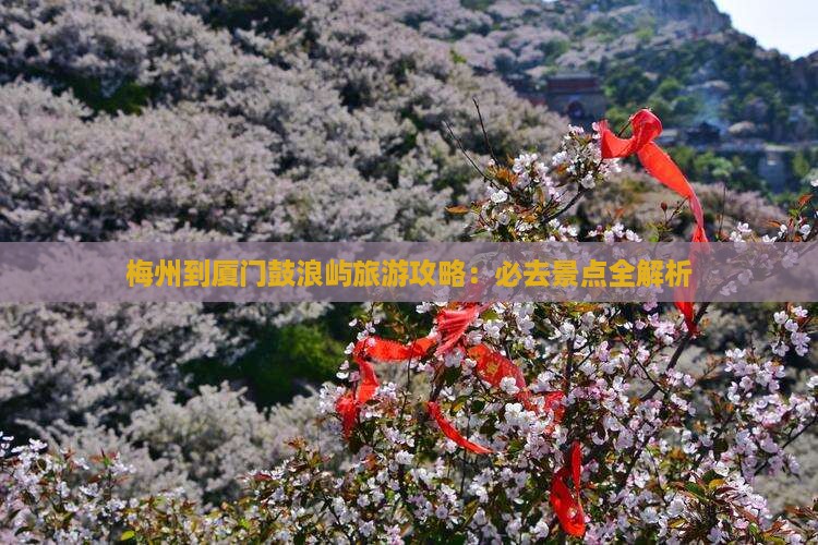 梅州到厦门鼓浪屿攻略