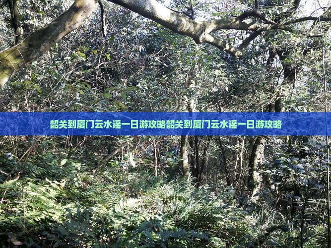 韶关到厦门云水谣一日