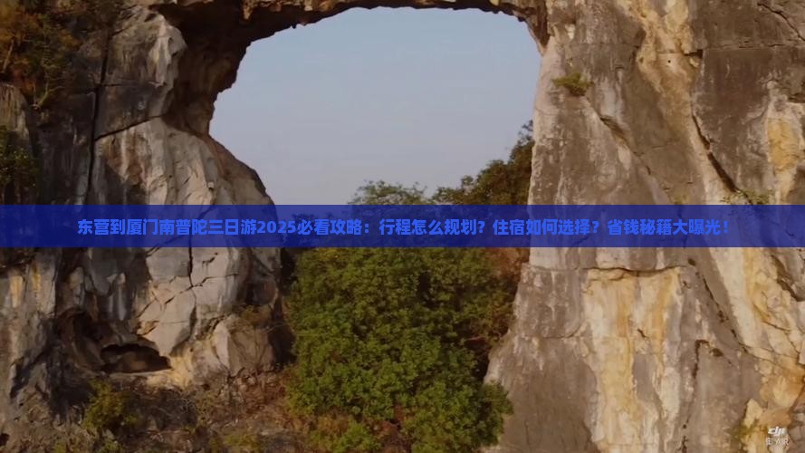 东营到厦门南普陀三日游