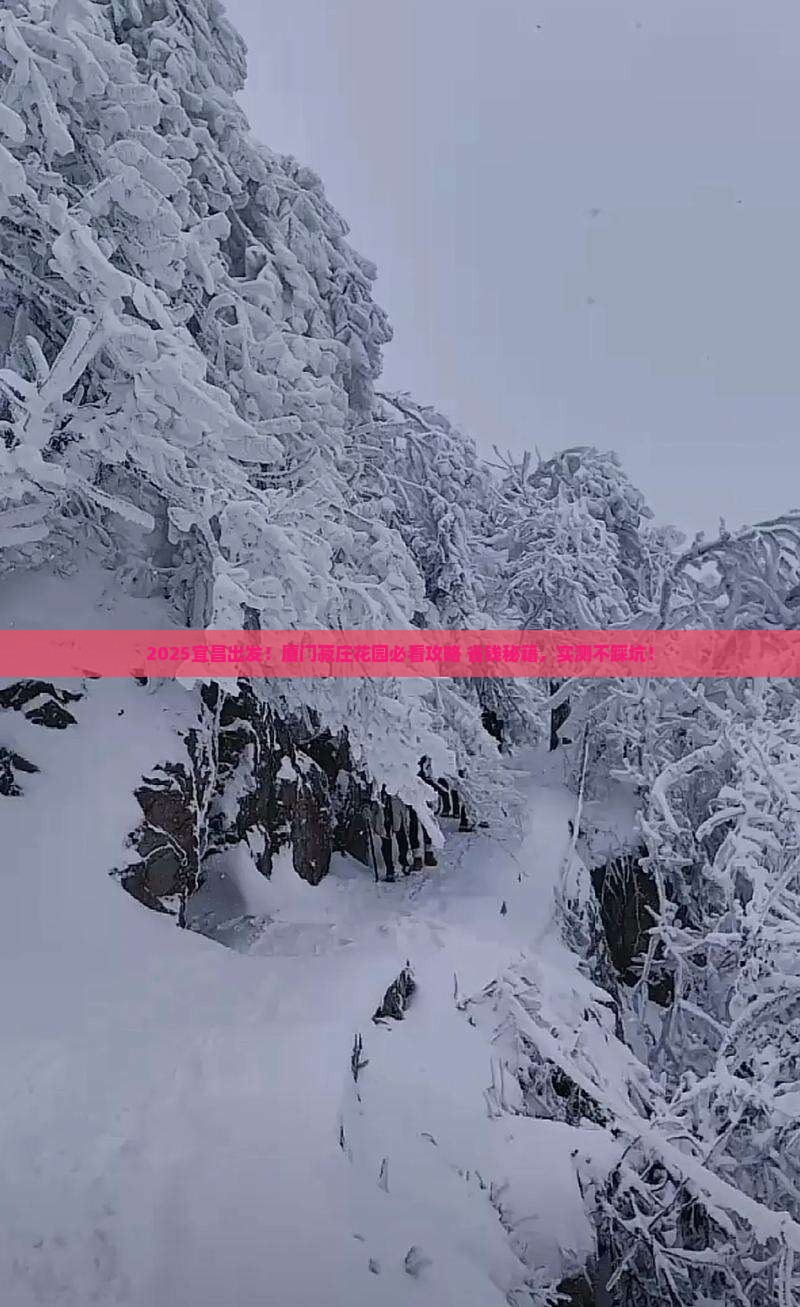 宜昌去厦门菽庄花园景点