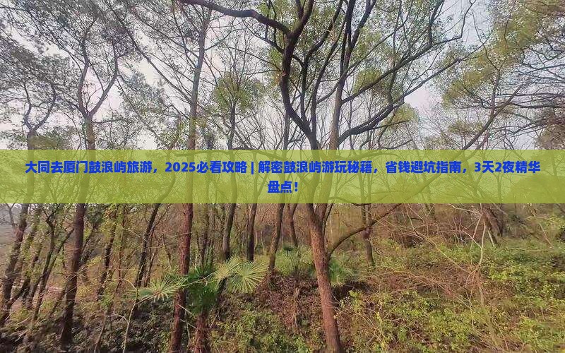 大同去厦门鼓浪屿旅游