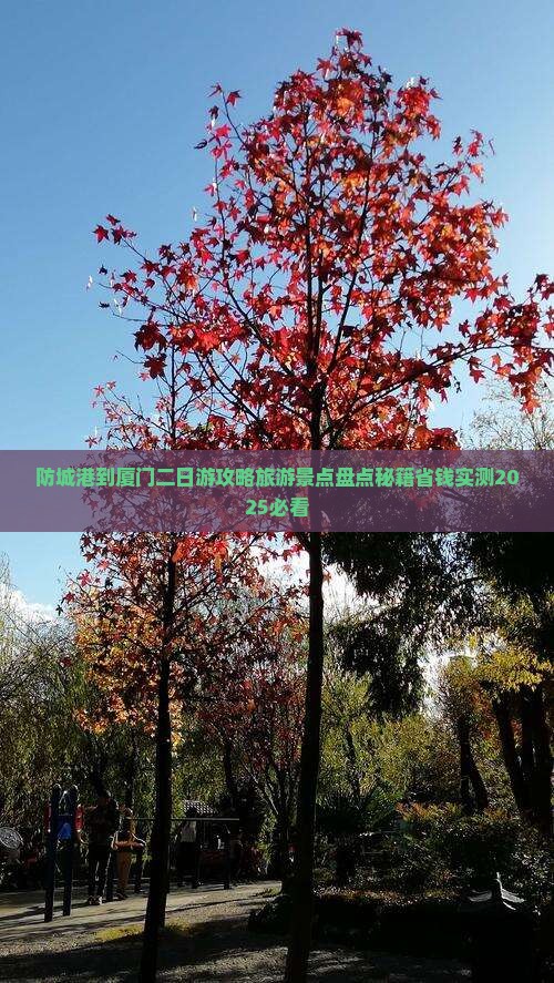 防城港到厦门二日游