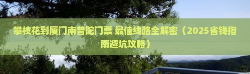 攀枝花到厦门南普陀门票