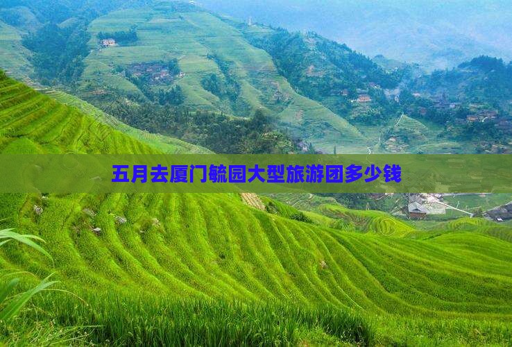 五月去厦门毓园大型旅游团