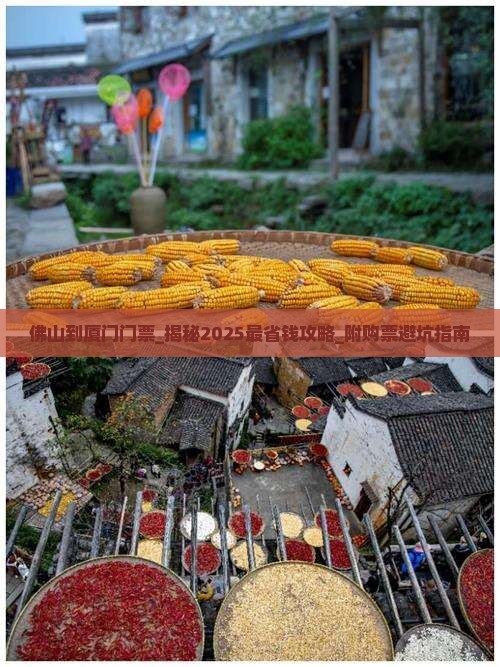 佛山到厦门门票