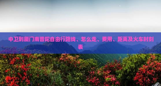 中卫到厦门南普陀自由行