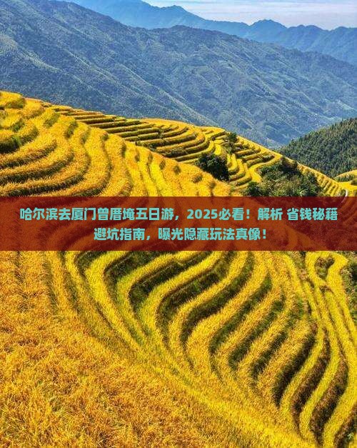 哈尔滨去厦门曾厝埯五日游