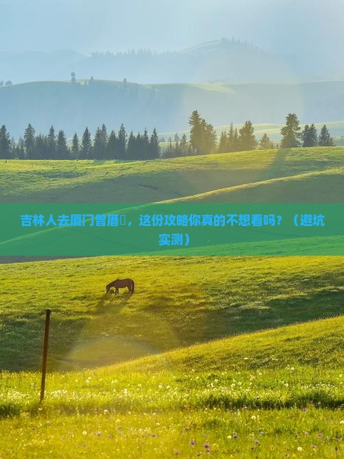 吉林去厦门曾厝埯旅行社