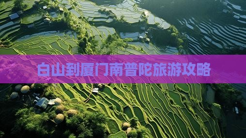 白山到厦门南普陀大型旅游团
