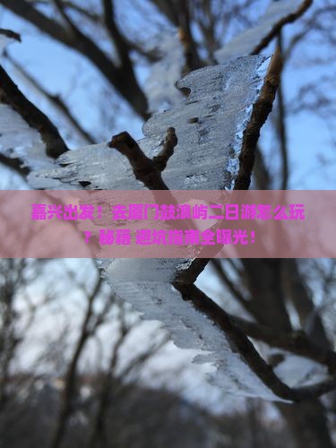 嘉兴去厦门鼓浪屿二日游 嘉兴去厦门鼓浪屿二日游