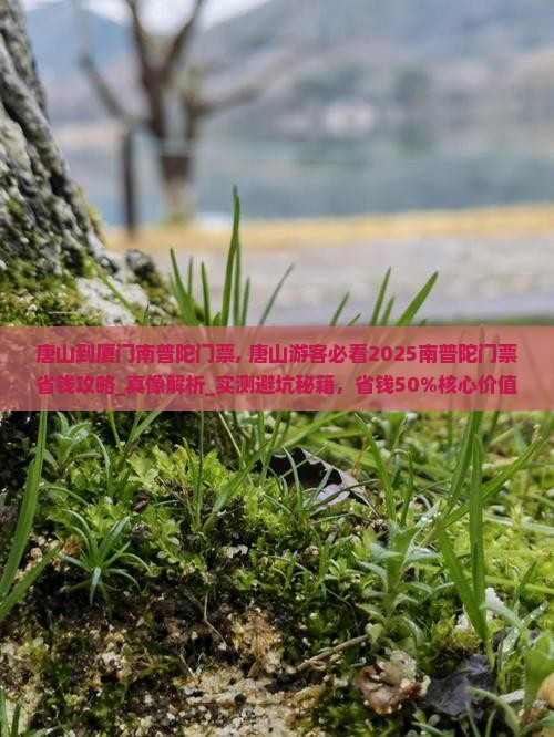 唐山到厦门南普陀门票