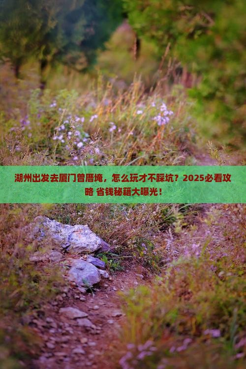 湖州到厦门曾厝埯旅行社