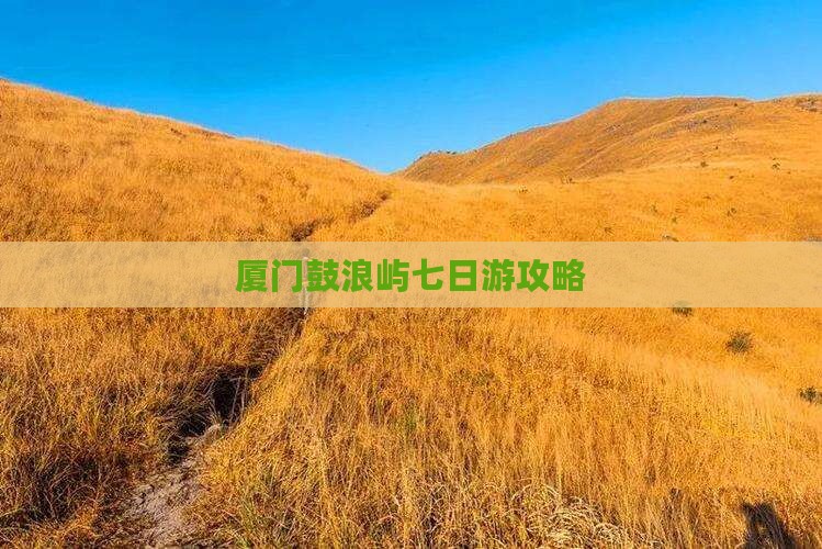 厦门去厦门鼓浪屿七日游