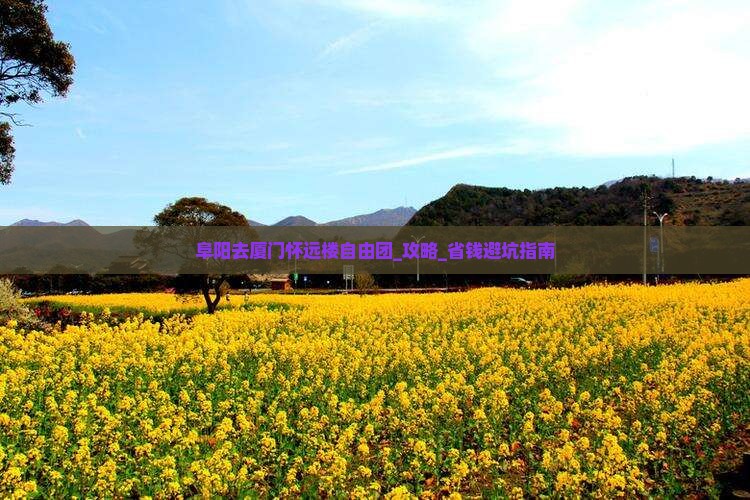 阜阳去厦门怀远楼自由团