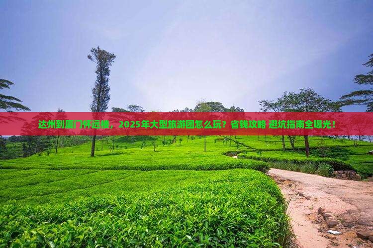达州到厦门怀远楼大型旅游团