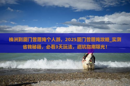 株洲到厦门曾厝埯个人游