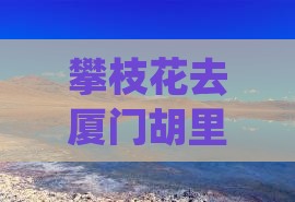 攀枝花去厦门胡里山炮台六日游