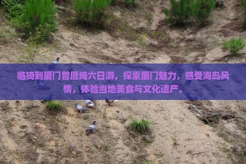 临猗到厦门曾厝埯六日游