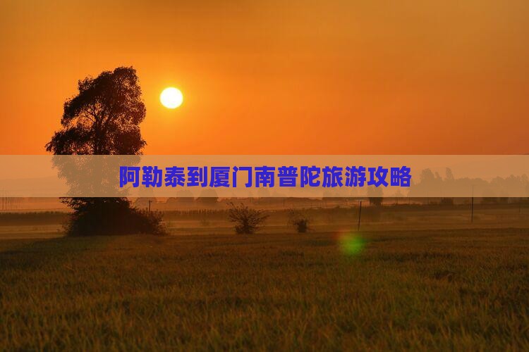 阿勒泰到厦门南普陀个人游
